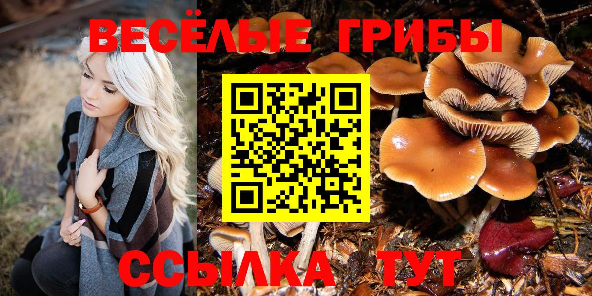 Галлюциногенные грибы Psilocybe Сибай